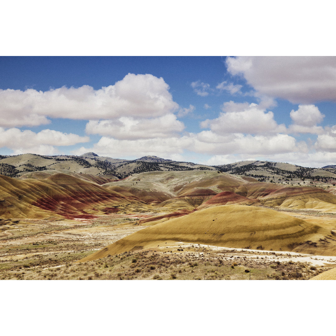 Painted Hills At John Day von Powerofforever - Drucken