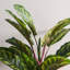 36'' Faux Plant in Pot