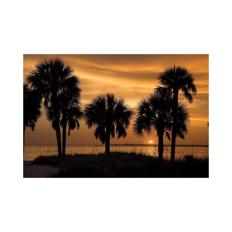 Tropical Park Sunset by Mike Jones - Wrapped Canvas Print, 20.32 cm H x 30.48 cm W