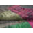 Geometric Patchwork Distressed Area Rug 8x10