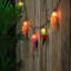 Ensemble de 10 lumières de patio perroquet 10 pi en fil vert