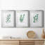 Freshly Picked I - Ensemble de 3 reproductions de cadres photo-456555364-456555365