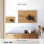 Crabe Brampt sur la plage-108690236