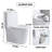 Small Compact One Piece Toilet Dual Flush