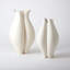 Vase d'étang-20576956