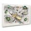 Assortment Of Beetles XLII by Oliver Goldsmith - Wrapped Canvas Painting-55367905
