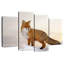 Renard majestueux Brampt-108820270