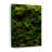 " Thick Moss "-562715154