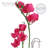 Faux Silk Orchid Arrangement in Vase-64581344