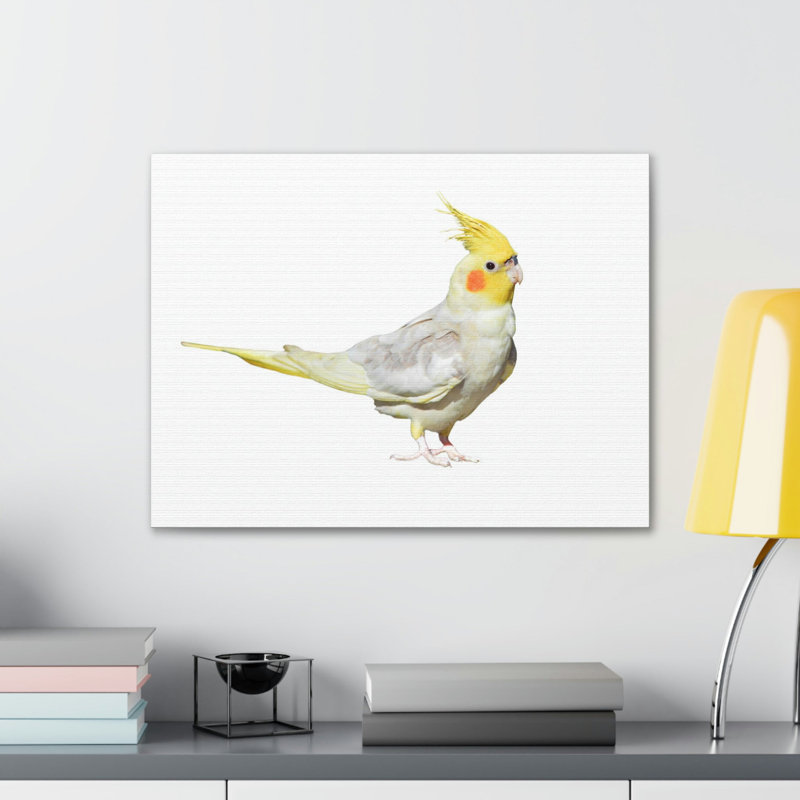 No Frame Print on Canvas, 27.94cm H x 35.56cm W