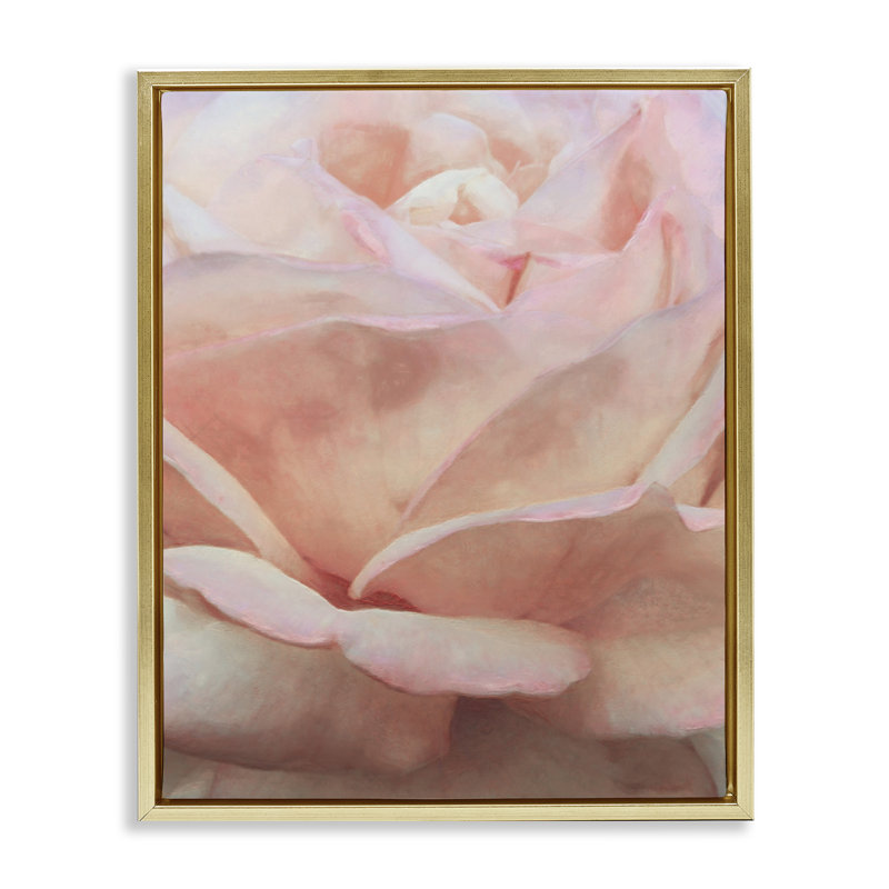 «Soft Soft Rose Petals» par Alonzo Saunders, Cadre flottant métallique doré, H 21 po x l 17 po