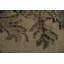 Tapis classique anatolien vieilli 6 x 9 avec motifs floraux