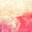Second Nature Print by Denise Dundon