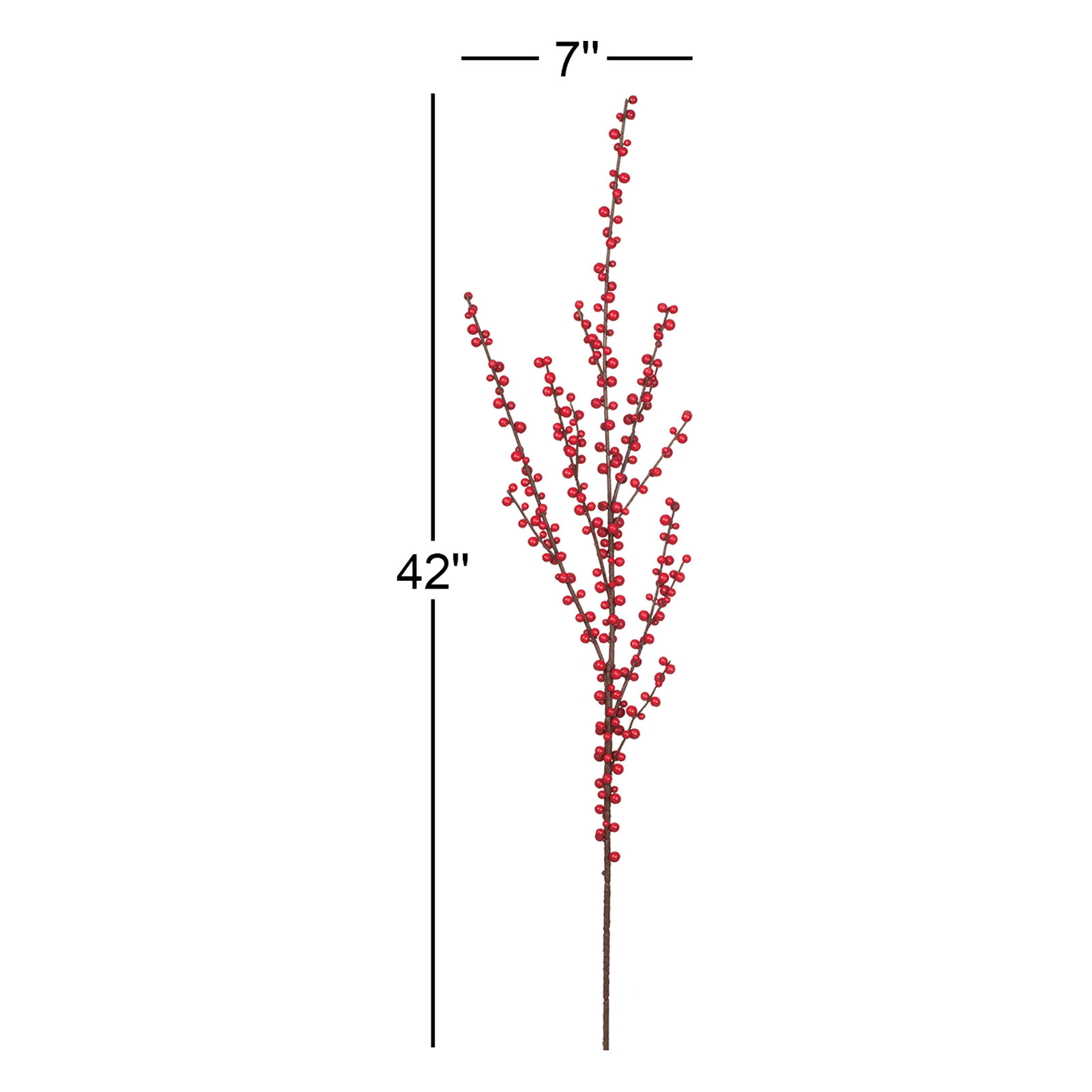 Kathreen Berry Stems
