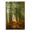 Art mural en verre Millwood Pines «Wyre Forest 3» par Ian Winistanley-1761240687
