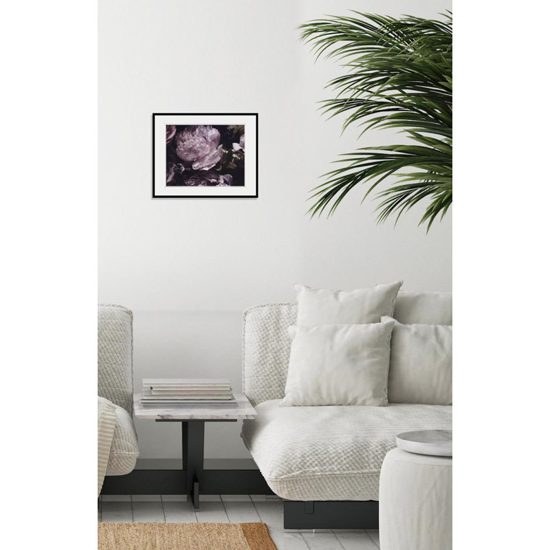 Rose - Single Picture Frame Print