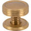 Divina 1" Diameter Cylindrical Knob-88499171