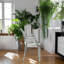Kaylon Gostyy Chair With Arms-1319350671