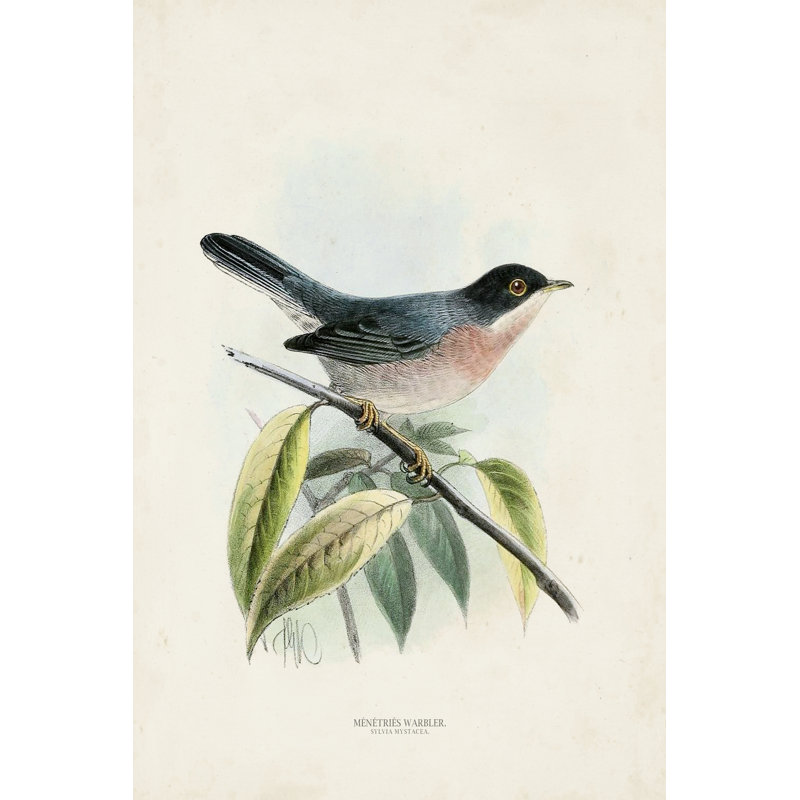 Oiseaux antiques V, H 36 po x l 24 po x P 1,25 po