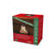 Christmas Deer Decorative Accent