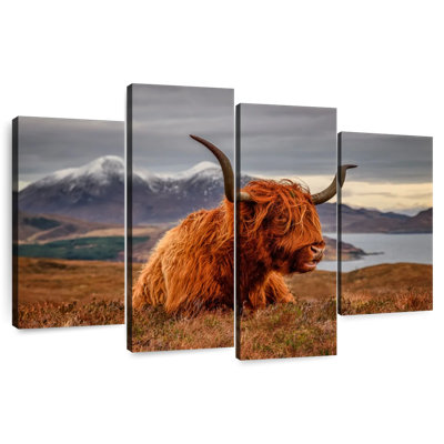 Brampt Highland Cow sentant le vent