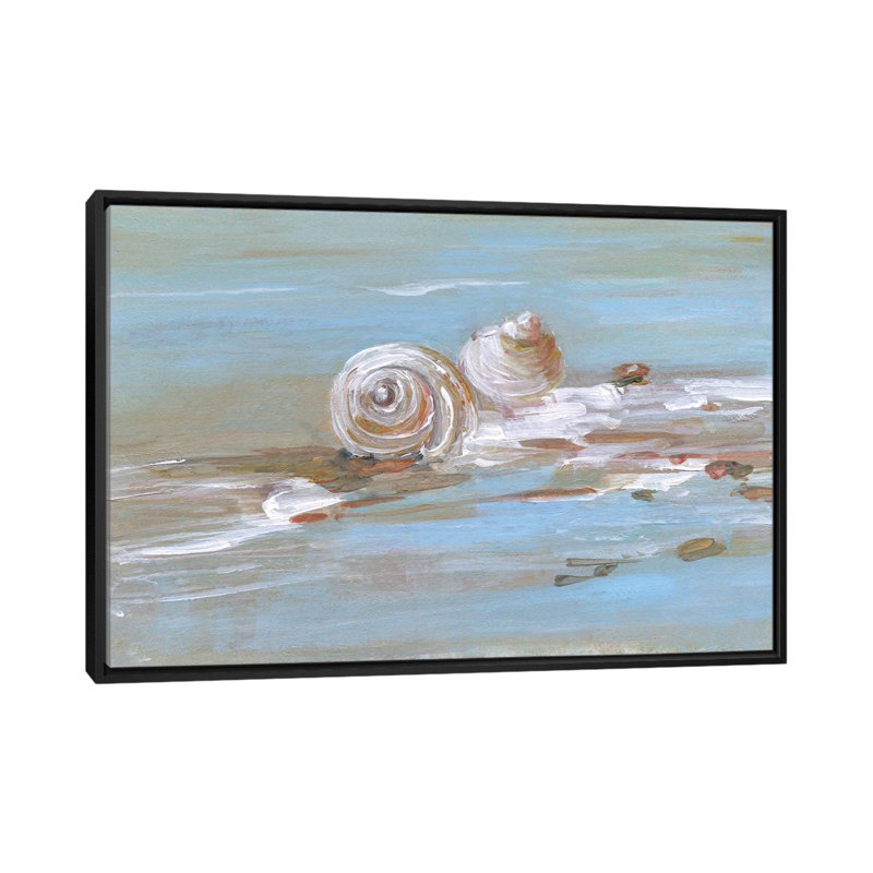 Shore Shell II par Sally Swatland - reproduction d'art, H 26 po x l 40 po x 1,5 po, Toile avec cadre noir, Pas de tapis
