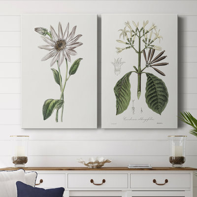 Tropical Botanical III - Toile tendue avec châssis de qualité supérieure - Prêt à être accroché