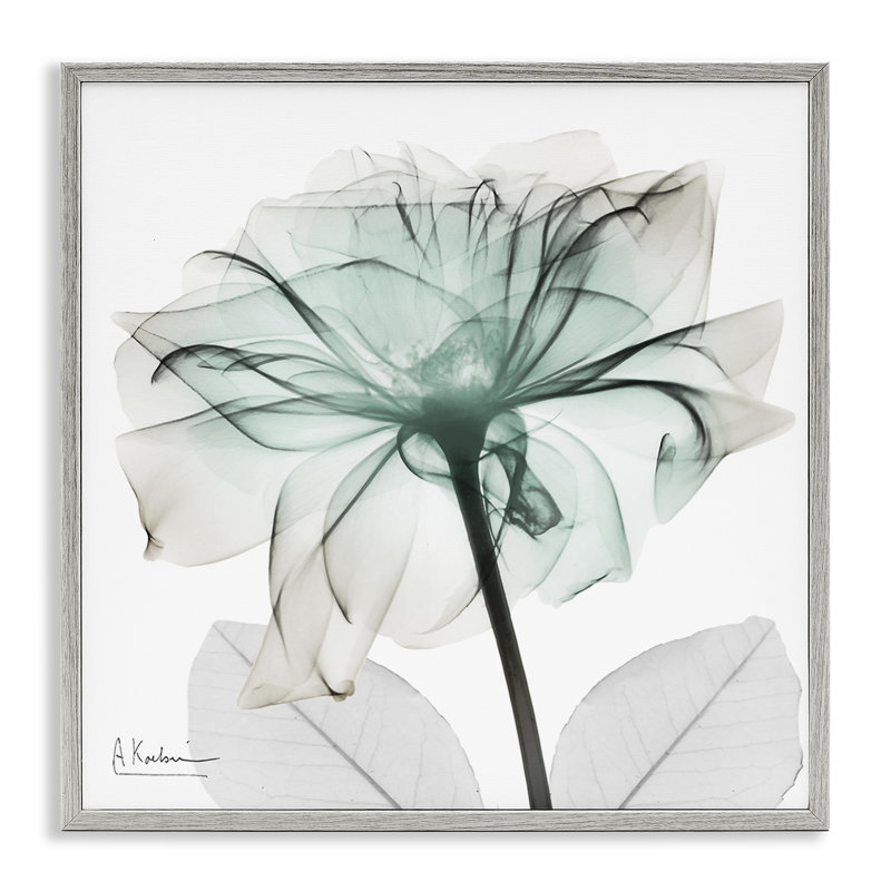 Giclée encadrée de pétales de fleurs uniques et uniques par Albert Koetsier, Estampe numérique Farmhouse, H 12 po x l 12 po