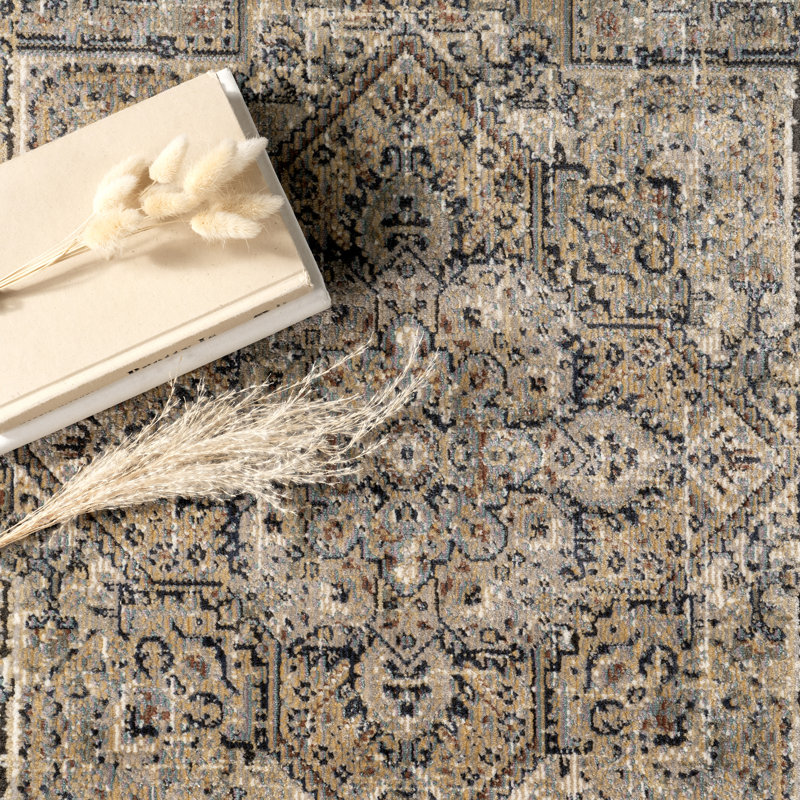 Aledo Traditional Power Loom Performance Distressed Blue/Brown Rug, Rectangle 9' x 12'