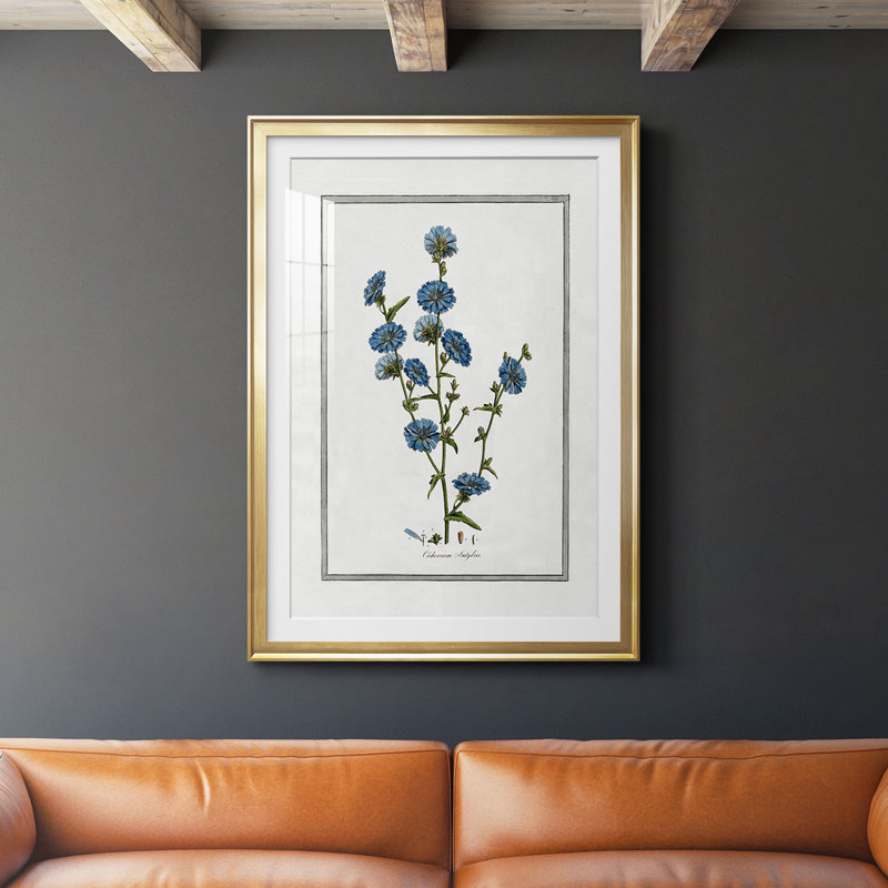 «Soft Botanical I», reproduction encadrée de qualité supérieure, prête à être accrochée, Cadre doré