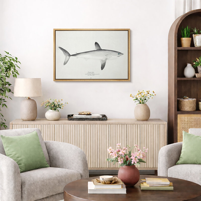 Minimalist Shark Scientific Artwork, Bathroom Pictures, Framed Canvas Giclee Print Wall Art., Natural Floater Frame