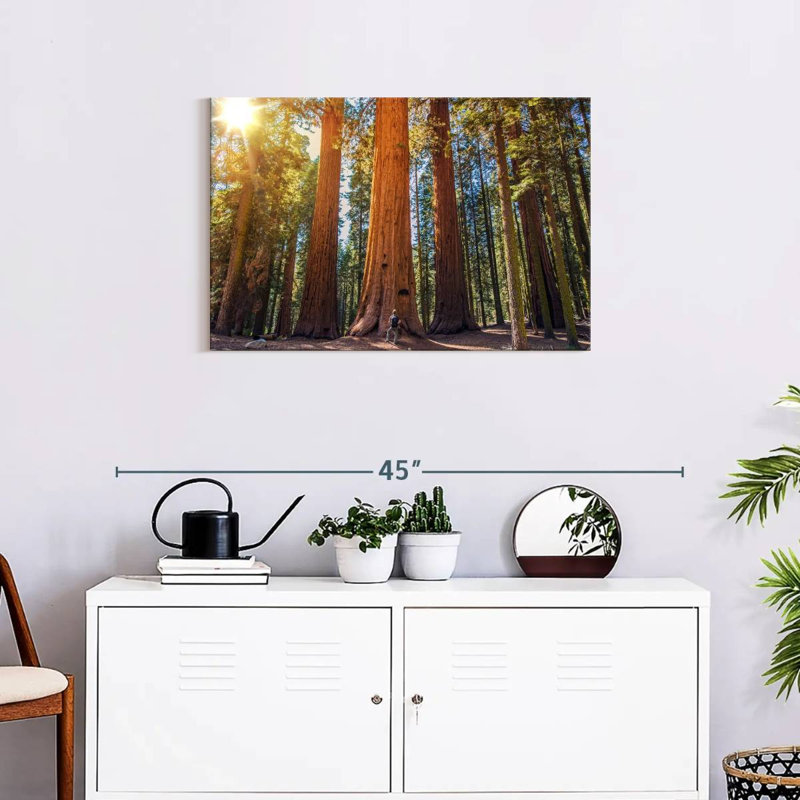 Harnek Giant Sequoia Trees, 20" H x 30" W