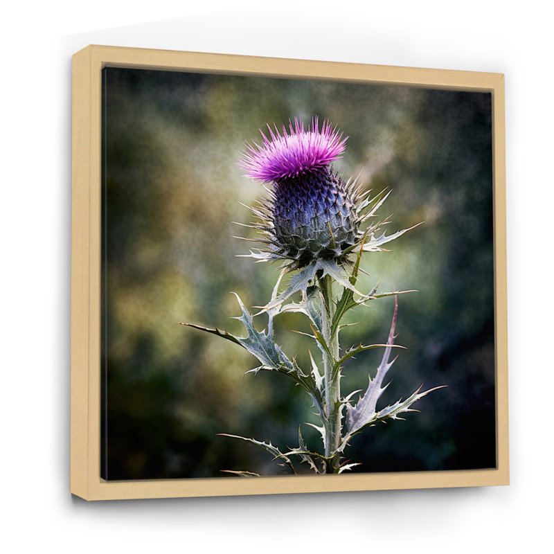 Mauve, vert, chardon, chuchotement, plante, V, H 24 po x l 24 po x P 1 po, Cadre naturel flottant