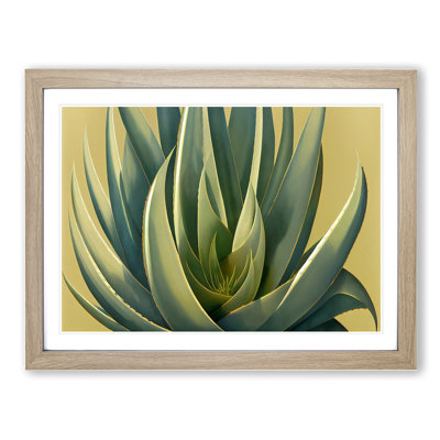Lush Aloe Vera Plant - Single Picture Frame Print