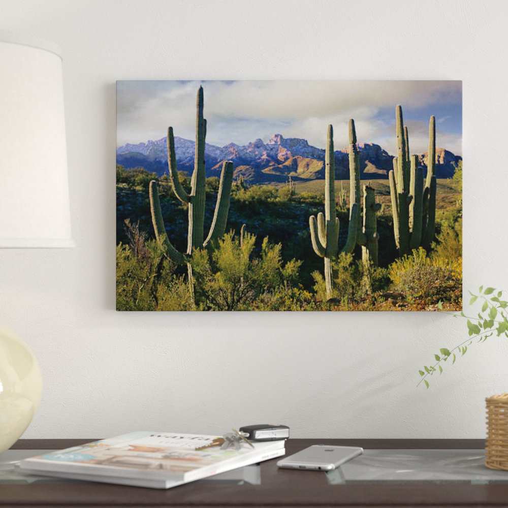 " Saguaro Cacti And Santa Catalina Mountains, Arizona " East Urban Home 