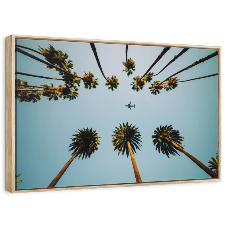 Avion sous les palmiers, Cadre flottant en bois naturel, 43 po x 29 po