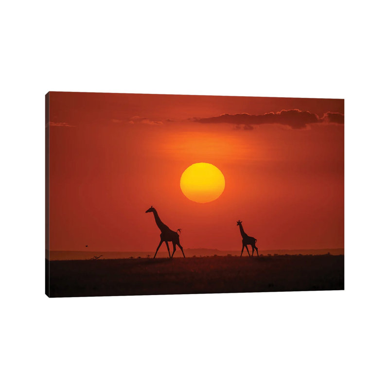 Giraffes In The Sunset by Hua Zhu - Wrapped Canvas Print, 66.04 cm H x 45.72 cm W x 1.91 cm D