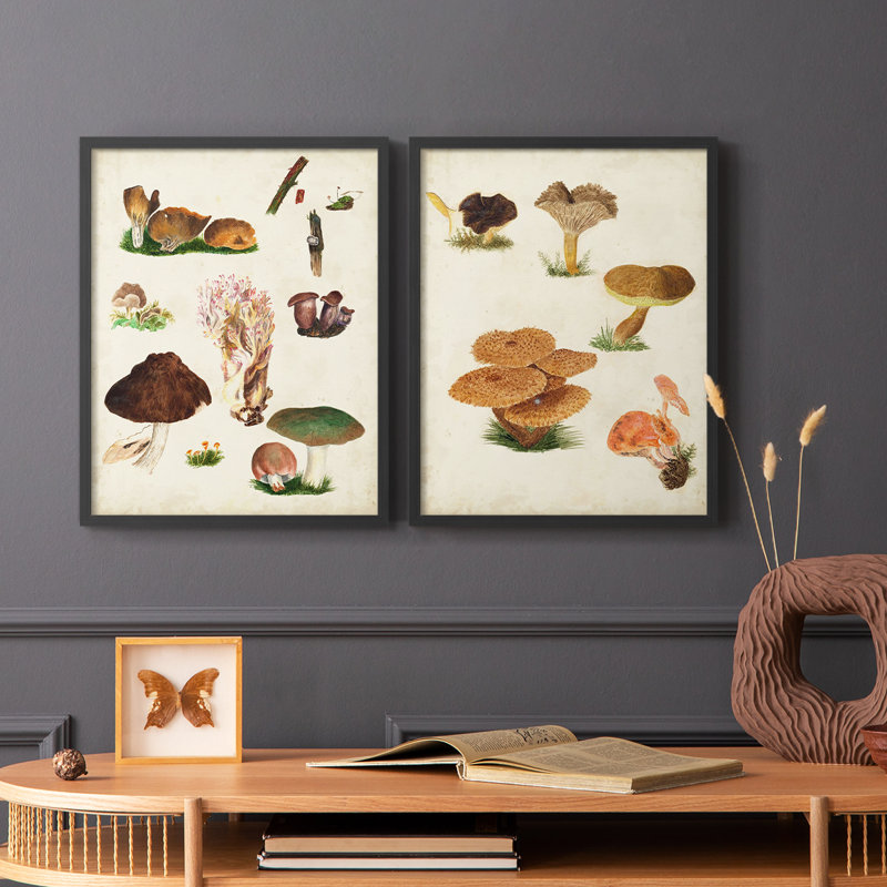 Reproduction encadrée de qualité supérieure de champignon - prêt à accrocher - aucun clou requis, Noir, noir, noir, noir
