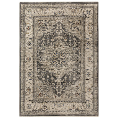 Belsan Persian Medallion Grey/Beige Area Rug