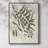 Botanical Society Ferns X Framed Print - Solid Wood-1337191801