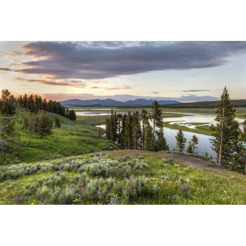 Staci Wildflower Sunset - Wrapped Canvas Print, 30cm H x 46cm W x 3.8cm D