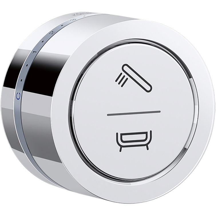 DTV Mode Wall-Mount Bath/Shower Digital Interface
