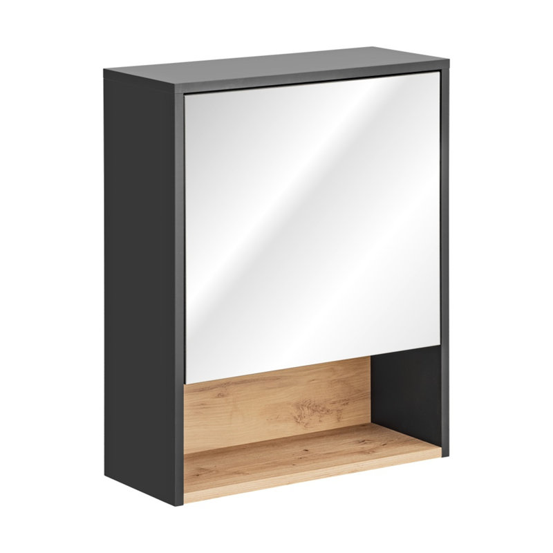 Ferdinanda 600mm W 750mm H Surface Framed Medicine Cabinet Mirror 2 Fixed