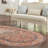 Alkire Oriental Area Rug-1740213803-1675488924