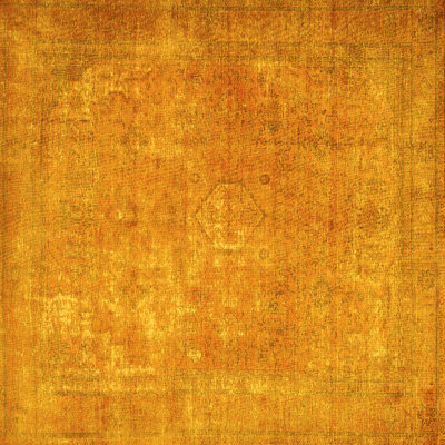 Washable Oriental Indoor Rug