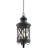 Addelina 3-Light Indoor or Outdoor Black Copper Aluminum Lamp Lantern Cottage Candle-Style Hanging Lantern Pendant with Clear Seedy Glass