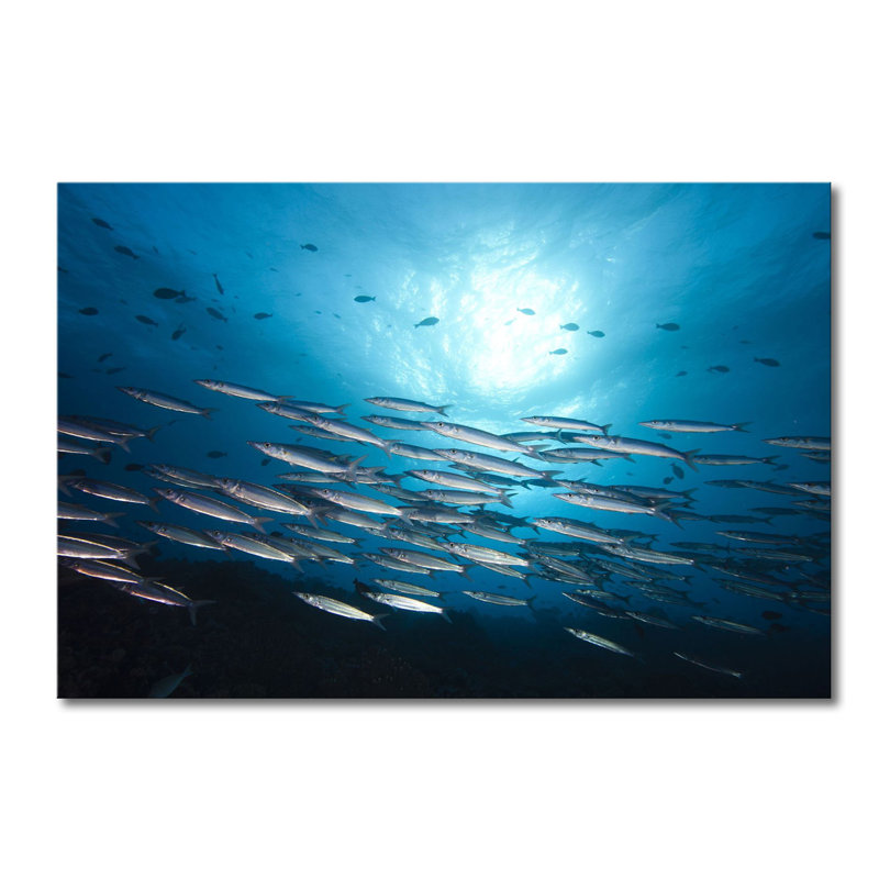 Stretched On Wooden Frame Fotodrucke on Leinwand, 80cm H x 120cm W x 2cm D