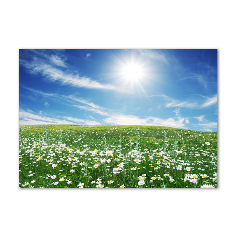 Meadow - Wrapped Canvas Print