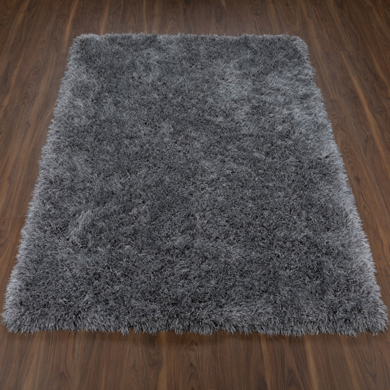Tapis gris foncé touffeté à la main Petrey, Rectangle de 2 pi x 3 pi