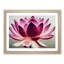 Mesmerising Lotus Flower - Framed Print-493907284-493907306